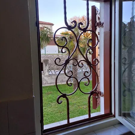 Tre Palme Labin (Istria)